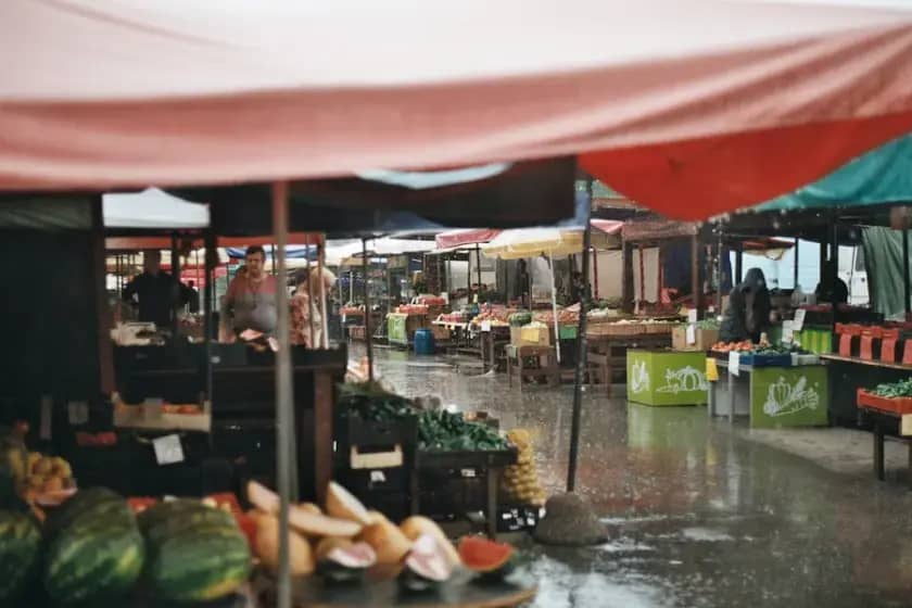 Šokantne cijene na banjalučkoj pijaci u avgustu: borovnice do 25 KM, maline i kupine do 16 KM