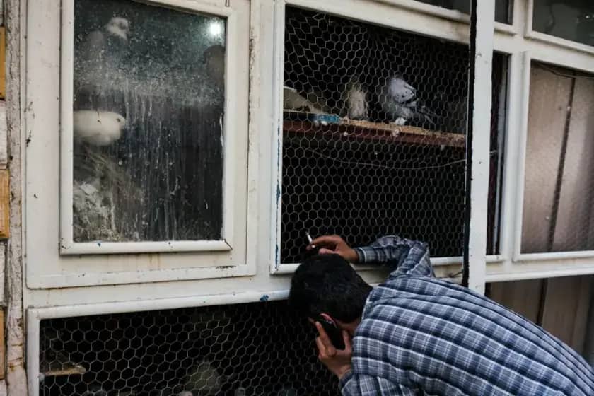 184 palestinska novinara ubijena u Gazi: šokantne priče novinara koji su izvještavali iz ratne zone