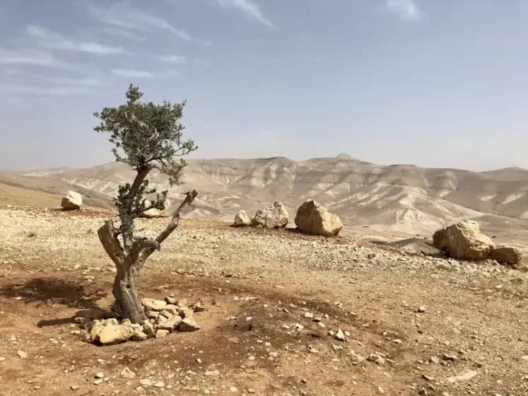 Izrael odobrio izgradnju u E1 na Zapadnoj obali — hoće li to ugušiti šanse za palestinsku državu?