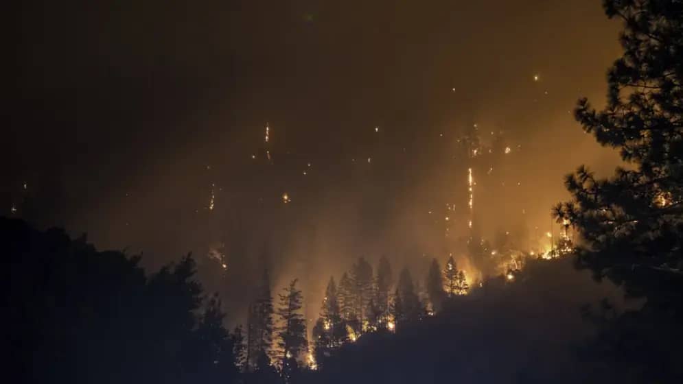 Veliki požar kod Šušnjara i dalje bukti, gašenje u toku sa zračnom podrškom i više vatrogasnih jedinica
