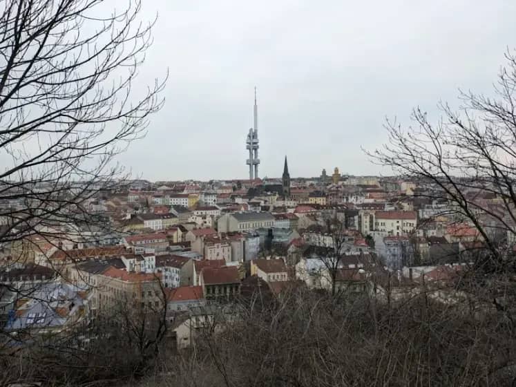 OFK Beograd izvukao bod protiv Mladosti Lučani 1:1 u dramatičnoj utakmici Mozzart Bet Superlige