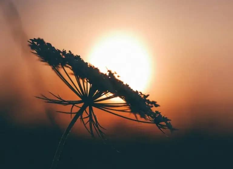 Alergija na sunce: kako da prepoznate simptome i zaštitite svoju kožu