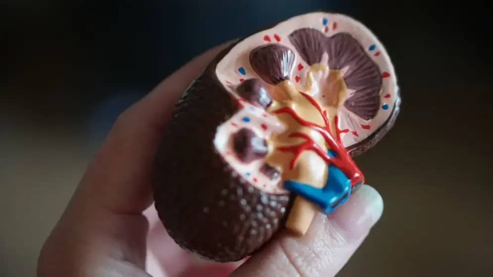 Osmogodišnja Jana Dragojlić iz Kozarske Dubice hitno treba transplantaciju bubrega — otac donor, poziv 17117 za donacije