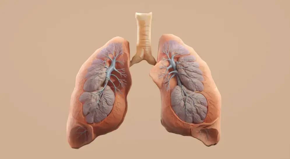 Spirometrija otkriva HOBP i rak pluća: Kako duvan utiče na pluća i zašto je rani skrining ključ