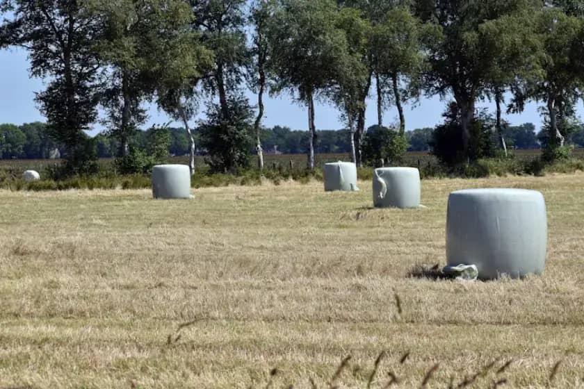 Plan Ministarstva poljoprivrede RS za 100 dana otkriva mjere: podsticaji, zakon o vodnim uslugama, poplave u Prijedoru, šumarstvo i veterinarstvo