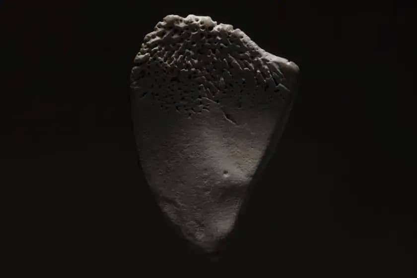 Asteroid Ryugu je imao tečnu vodu milijardu godina kasnije — novi dokazi mijenjaju priču o porijeklu vode na Zemlji