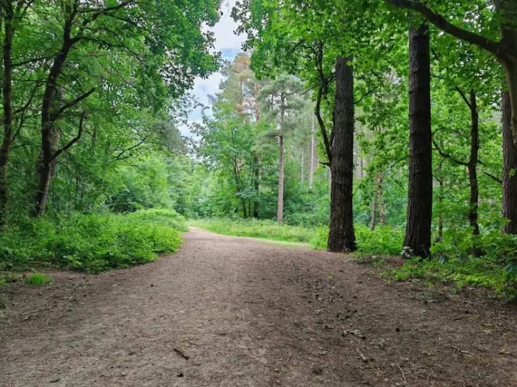 Notingem Forest prokockao pobjedu protiv Barnlija 1:1 u Premijer ligi — debi Zinčenka pod kritikama