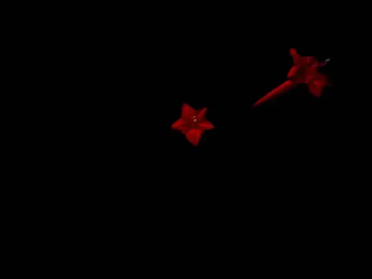 Derbi šok: Crvena zvezda pobjedila Partizan 2:1 u Humskoj — Mirko Ivanić slavi