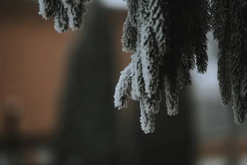 Šokantno zahlađenje u prvom oktobru: Očekuju se niske temperature, mrazevi i prvi snijeg