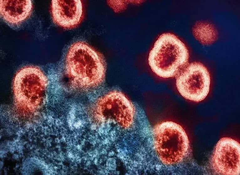 Kongo-Krimska hemoragijska groznica: Simptomi, prenos, rizici i prevencija od smrtonosne bolesti krpelja