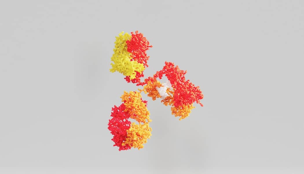 Antitela: Ključni IgM, IgG, IgA, IgE i IgD u borbi protiv bolesti