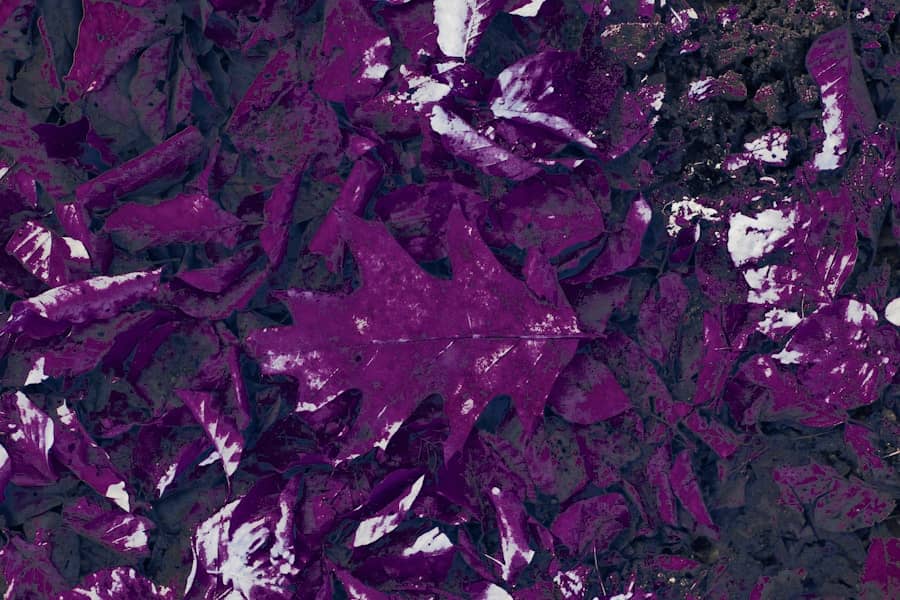 Lupus: Razumijevanje simptoma, uzroka i važnosti dijagnostike ove ozbiljne bolesti