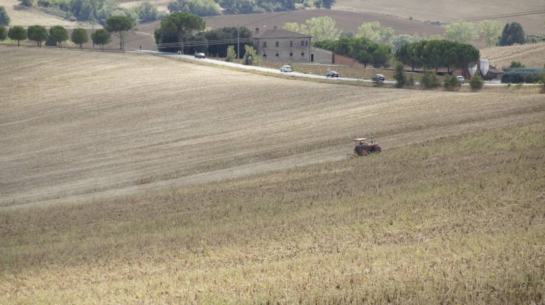 žetva pšenice u semberiji kreće sa rekordnim prinosima ali nizak otkup ugrožava poljoprivrednike