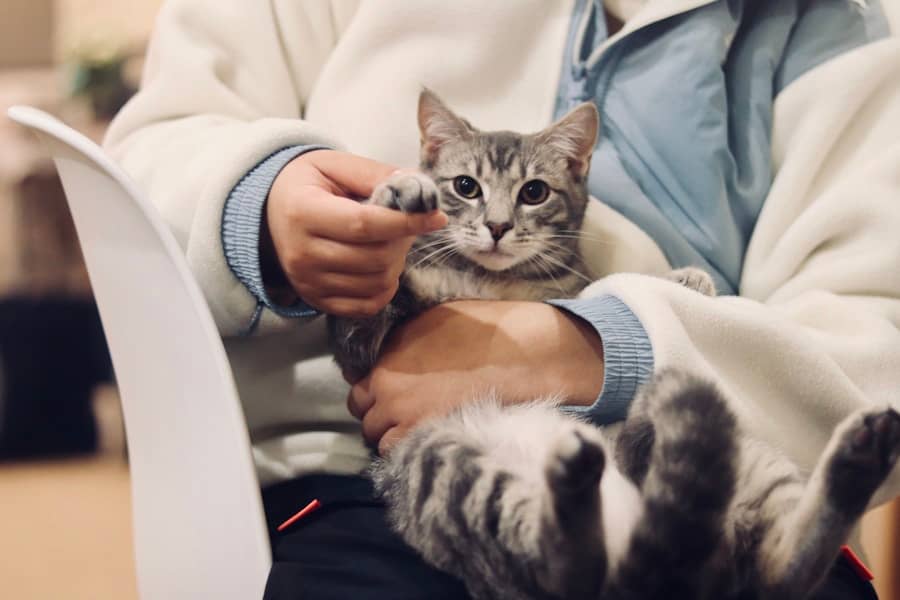 Veterinar iz Ljubuškog optužen za nesavjesno liječenje pasa s tragičnim posljedicama – uginuće više štenaca
