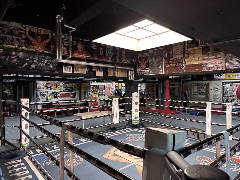 Duško Todorović i Hose Danijel Medina u velikom UFC okršaju 13. septembra u Teksasu – Šta očekivati od srpskog MMA borca?
