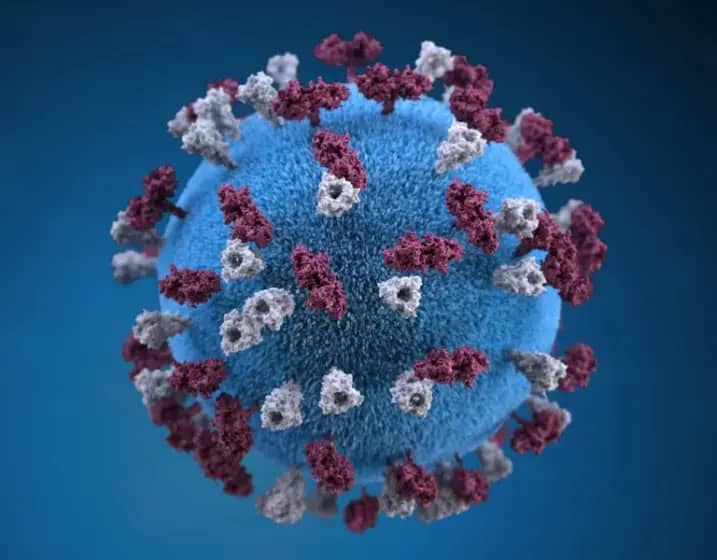 Male Boginje: Epidemija, Komplikacije i Zašto Je MMR Vakcina Jedina Efikasna Zaštita