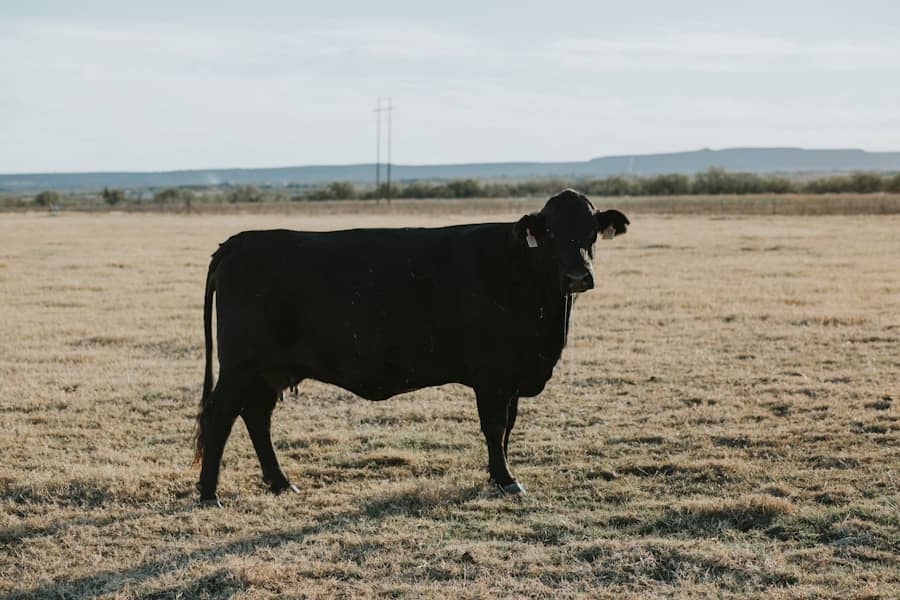 Sve što treba da znate o pljuvački: uzroci, funkcije i zdravstveni problemi sa salivacijom