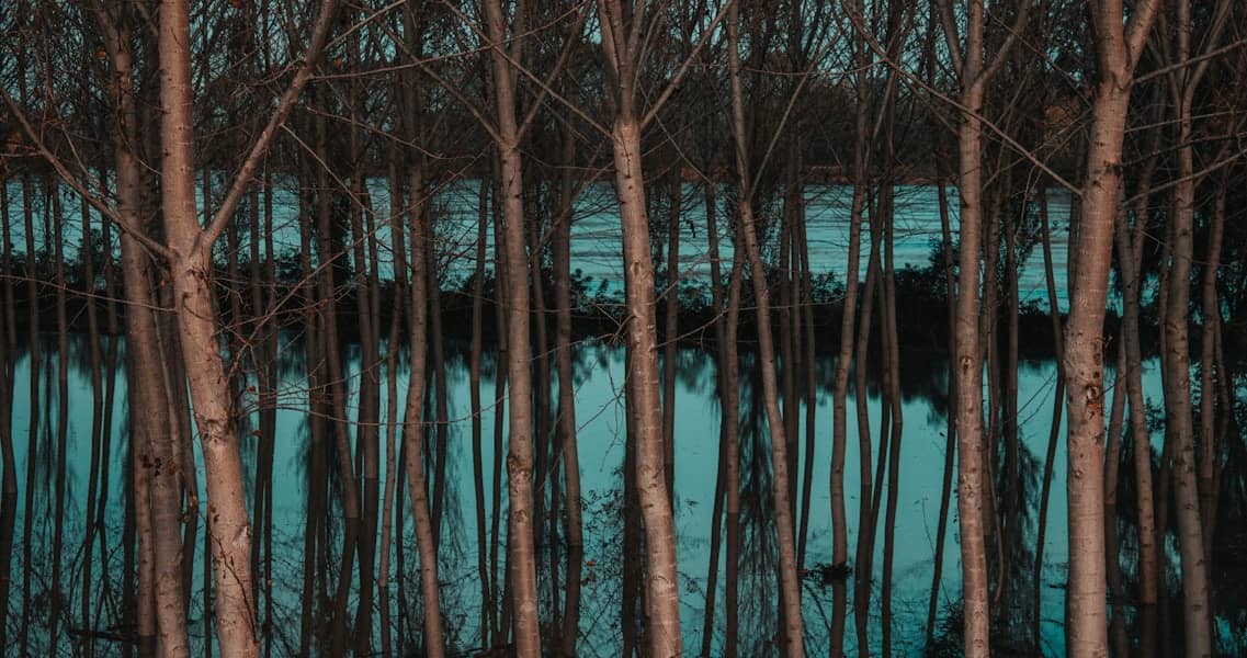 Zašto su noge otečene? Uzroci i kako prepoznati opasne simptome otoka stopala i zglobova