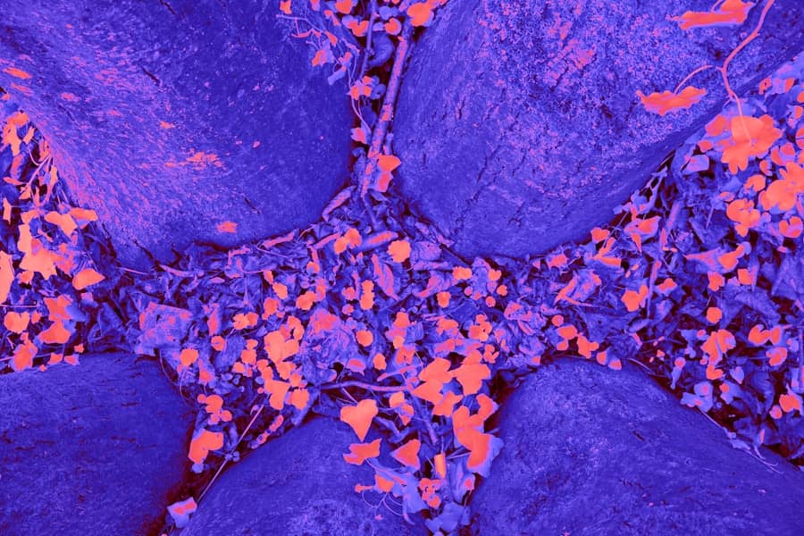 Rak pankreasa: simptomi, lečenje, metastaze i šanse za preživljavanje