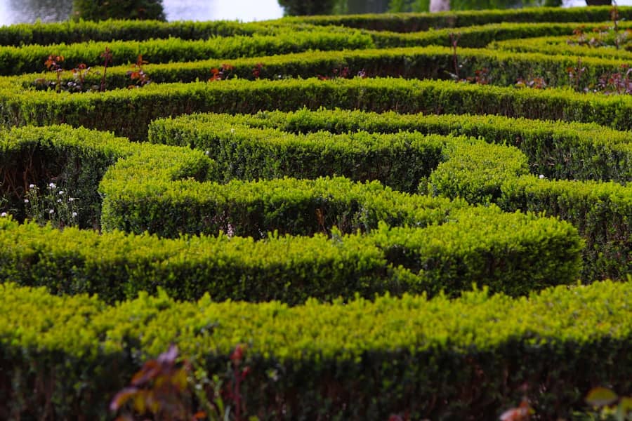 Modrica na nepcu (palatalne petehije): simptomi, uzroci, dijagnoza i liječenje koje morate znati