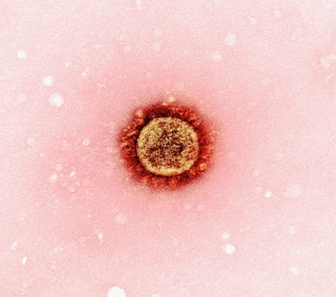 Stomačni virus: Kako prepoznati rotavirus, norovirus i adenovirus — rehidracija, dijareja, povraćanje i prevencija