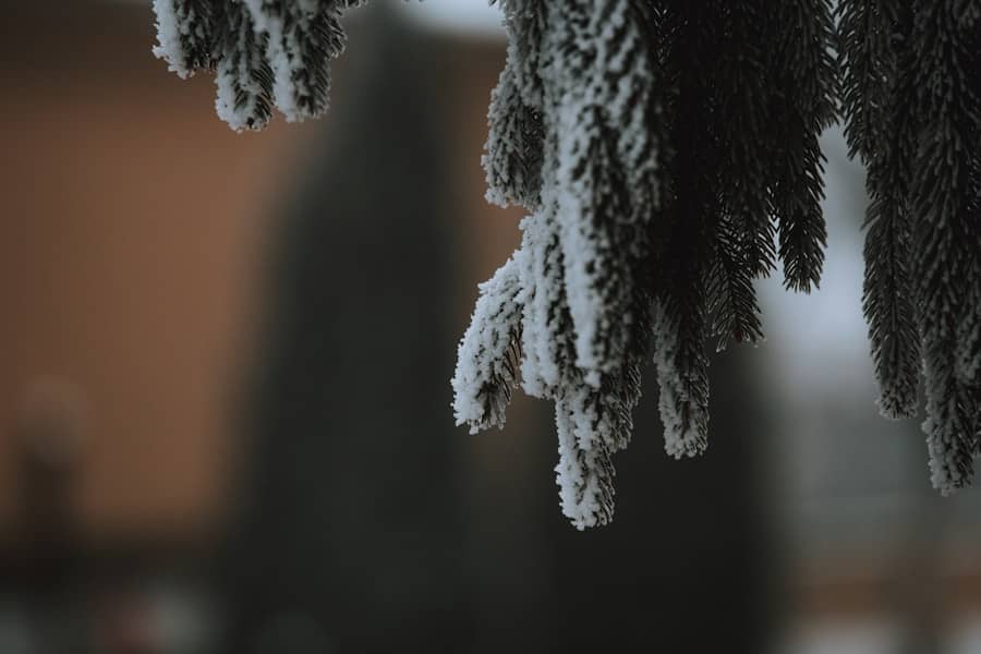 Šokantno zahlađenje u prvom oktobru: Očekuju se niske temperature, mrazevi i prvi snijeg