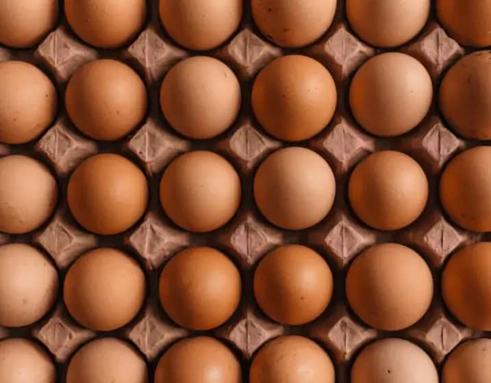 Da li jaja podižu krvni pritisak i holesterol? Stručna analiza za osobe sa hipertenzijom