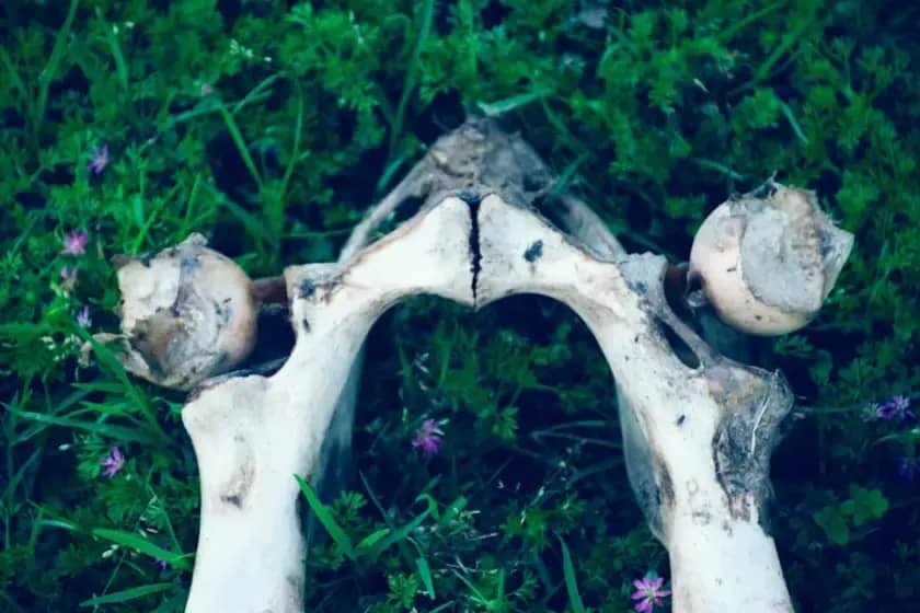 Progutali ste riblju kost? Otkrivamo opasne simptome, komplikacije i hitne metode uklanjanja