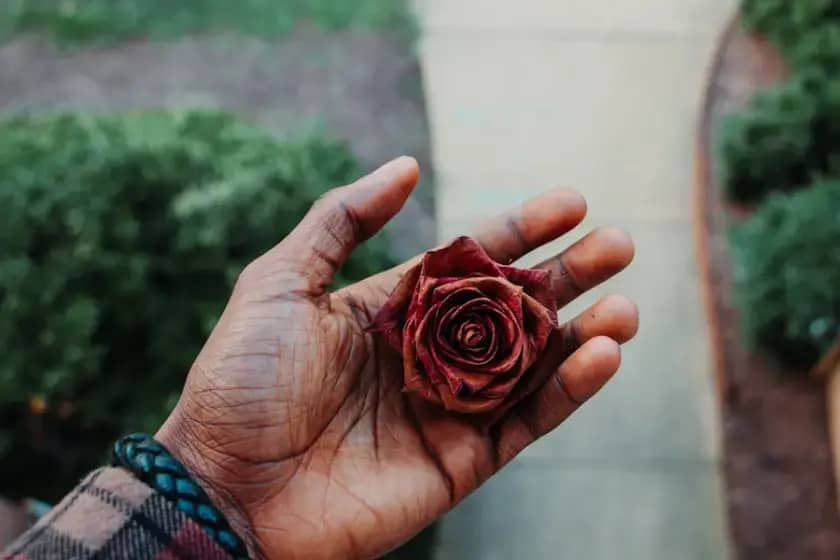 Zašto su prsti ljubičasti? Rejnoov sindrom, vazospazam, Burgerova bolest i promrzline objašnjeni