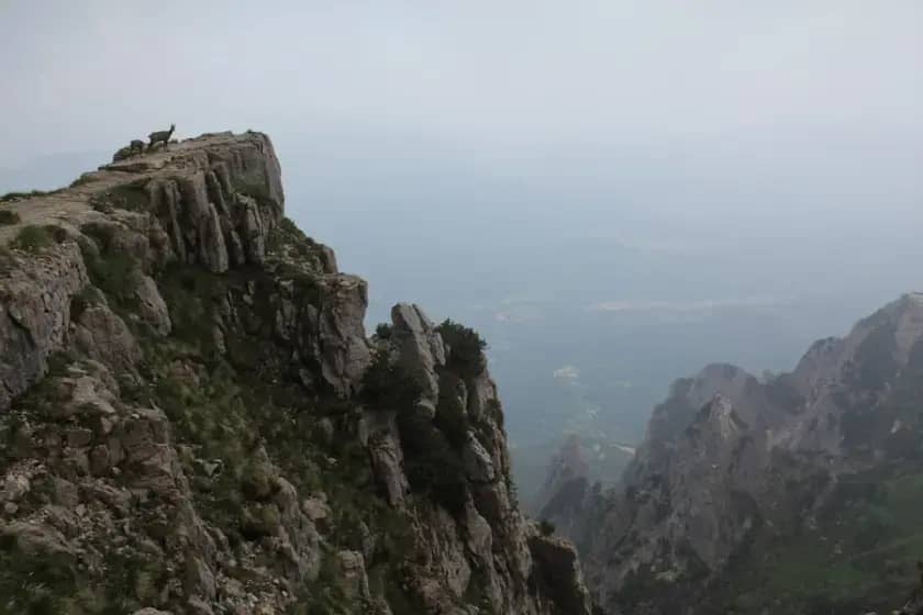 Giht u rukama: simptomi, uzrok (mokraćna kiselina) i kako smanjiti napade