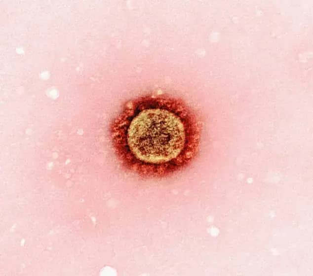 Adenovirus: Glavni simptomi, liječenje i prevencija koje svako mora znati