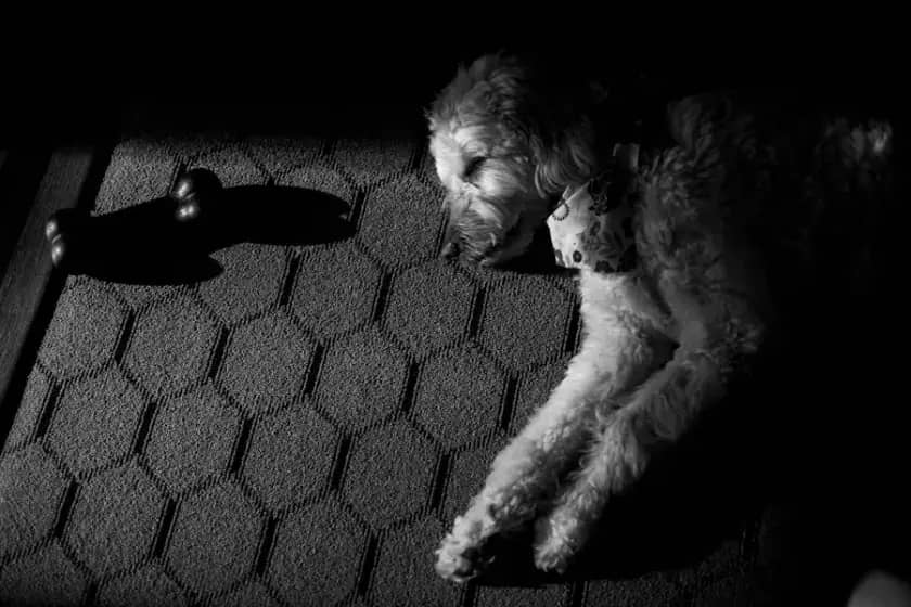 Spavanje na leđima: Kako ovaj položaj smanjuje bore, poboljšava kožu i sprečava oticanje