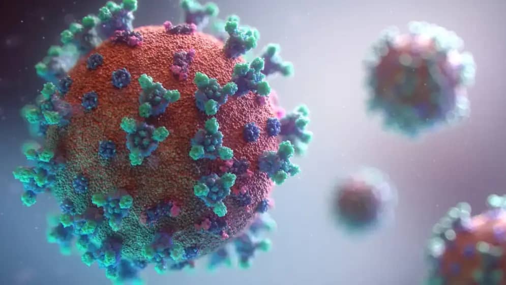 Šokantne činjenice o koronavirusima: Kako HKU5 i MERS opasno prete zdravlju?