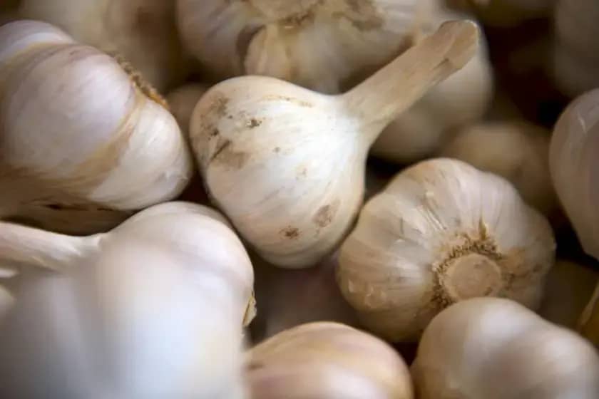 Alergija na beli luk: Simptomi, dijagnostika i koje namirnice treba izbjegavati