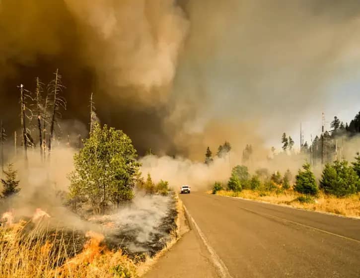 Stravični požari u Siriji: Vatrogasci se bore sa vjetrom, eksplozivom i visokim temperaturama u Latakiji