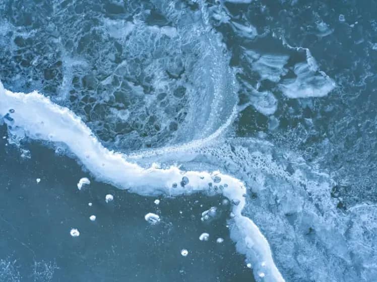 Vibrio Bakterije Sve Opasnije u Evropi: Kako Se Zaštititi od Zaraznih Infekcija iz Priobalnih Voda