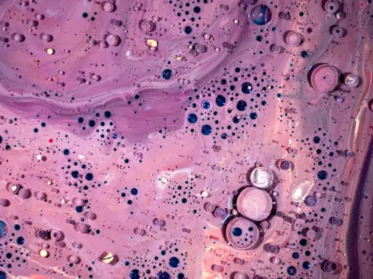Sindrom propustljivih creva: Simptomi, uzroci i terapije koje trebate poznavati