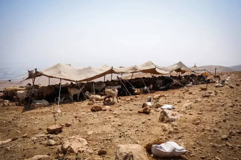 Rat u Sudanu traje dvije godine: Najgora kriza raseljavanja i gladi u Africi sa desetkama hiljada žrtava