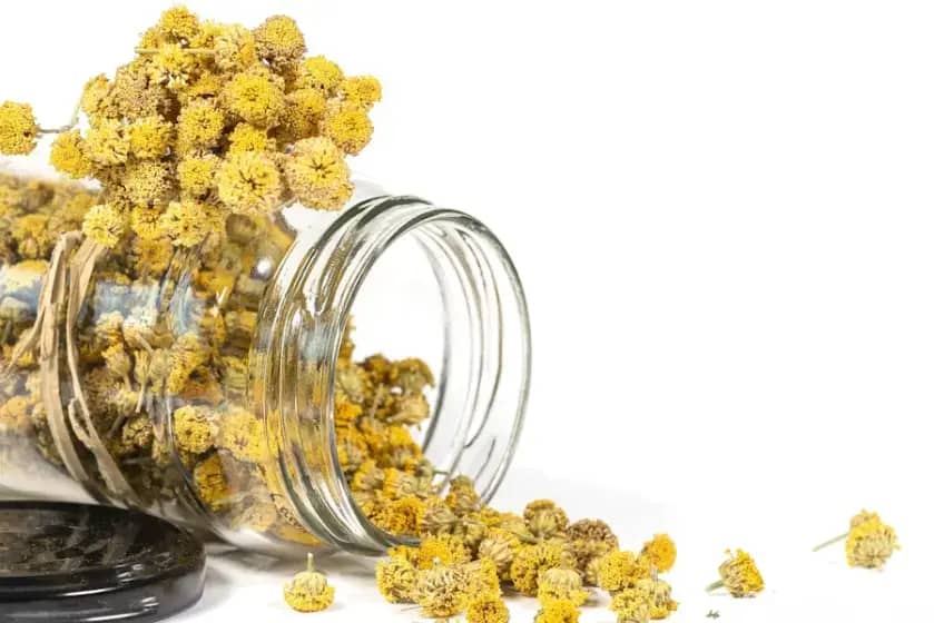 Kako prepoznati i lečiti bilijarnu diskineziju: Simptomi, dijagnoza i prevencija