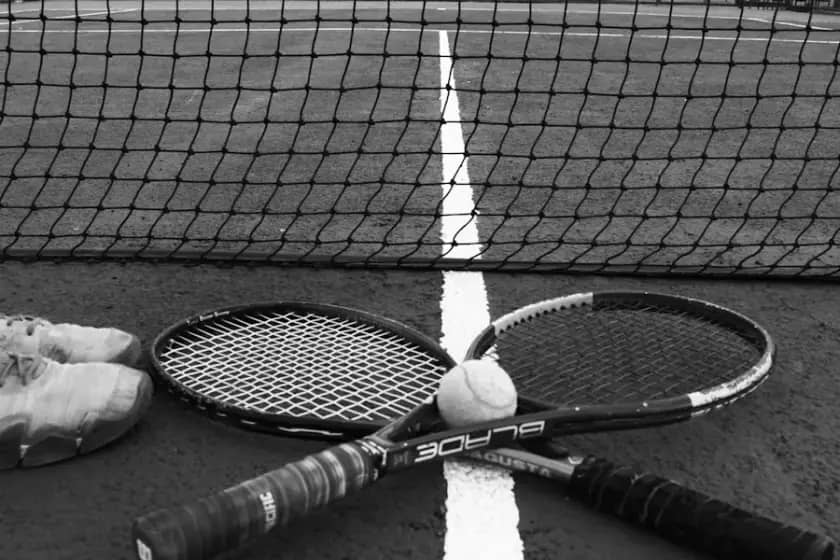 Alehandro Davidovič Fokina i Aleks de Minor se bore za titulu na ATP Vašington 2025