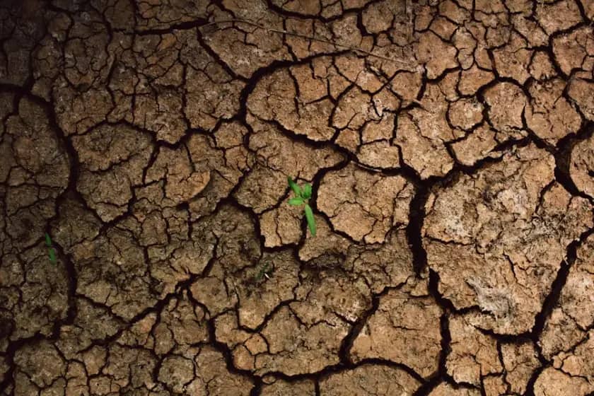 Ekstremne temperature i suša uništavaju sela i poljoprivredu u BiH: Hiljade sela prazne, cijene hrane rastu