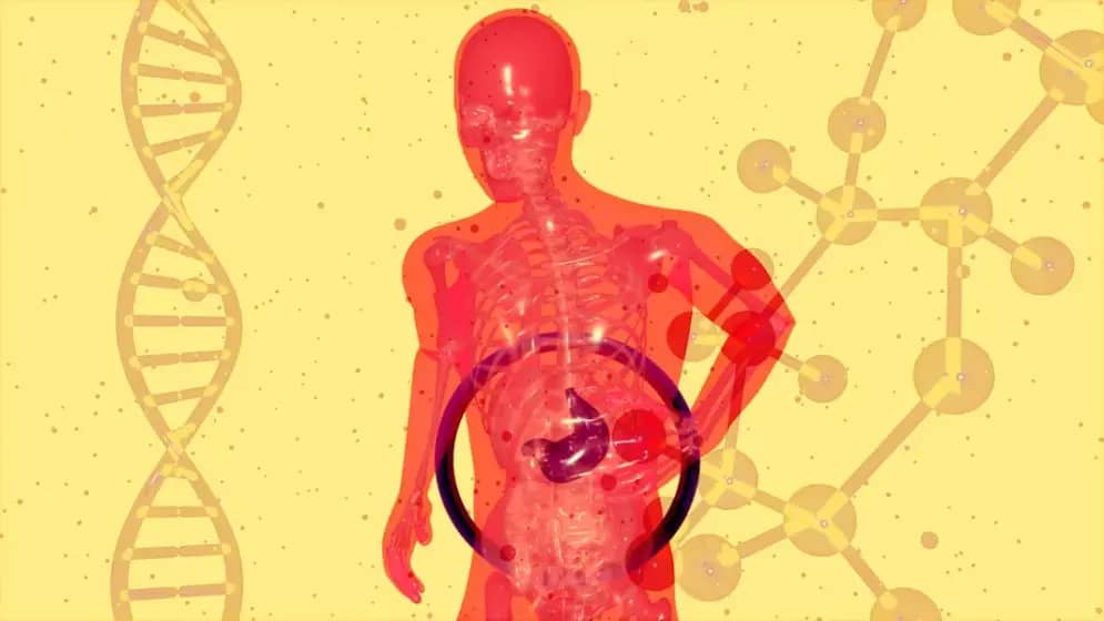 Zašto gasovi imaju neugodan miris? Uzroci, simptomi i prirodni načini za prevenciju nadimanja