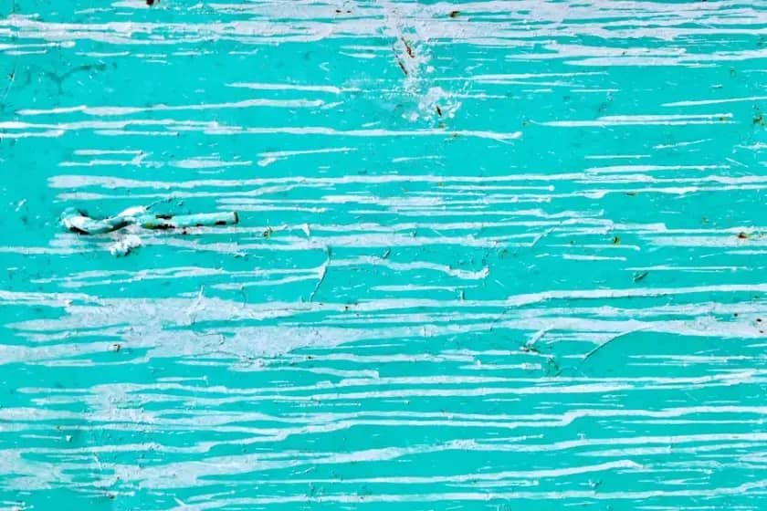 Andrej Barna oborio nacionalni rekord i plasirao se u polufinale SP u plivanju na 50m slobodno!
