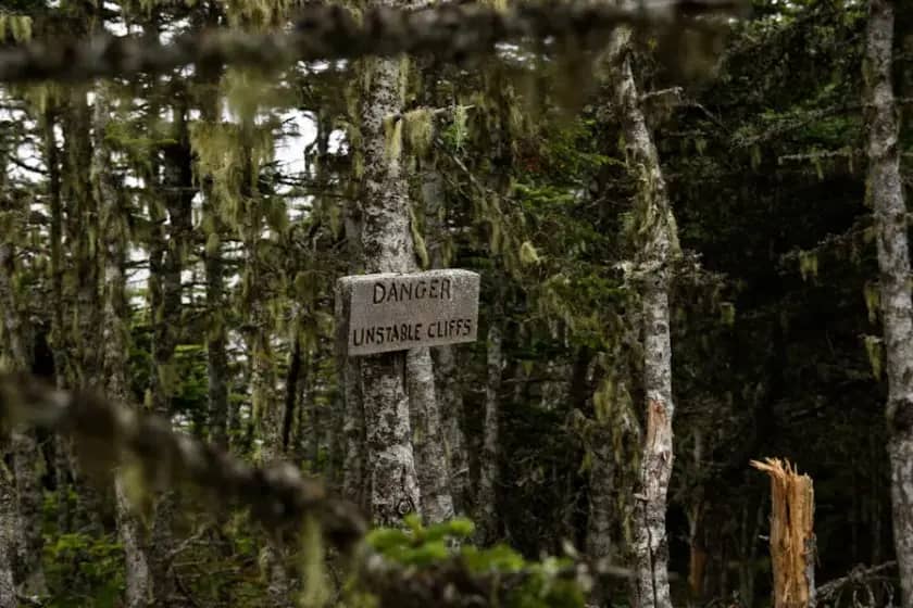Važan Apel: Izbjegavajte Trešnjičku Šumsku Stazu Tokom Izvođenja Radova zbog Opasnosti i Odrona