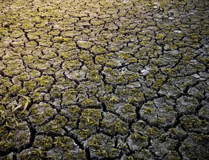 U Republici Srpskoj stiže toplotni talas do 40 stepeni: Savjeti za zaštitu od visokih temperatura