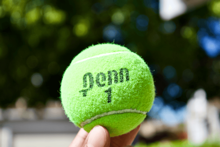 Martina Navratilova kritikovala strogu zabranu pasa na Vimbldonu, tvrdi da joj nije dozvoljen ulaz sa psom pomagačem
