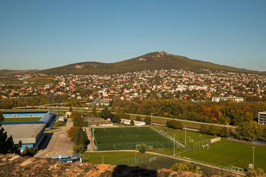 Crvena zvezda ostvarila ogroman profit od transfera: Uložili 3 miliona, prihodovali 23 miliona evra tokom prelaznog roka