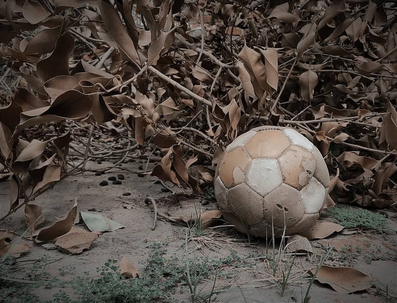 Oleksandrija pred težkim zadatkom protiv Partizana: Vitalij Pervak veruje u preokret i prolaz u UEFA Ligu konferencije