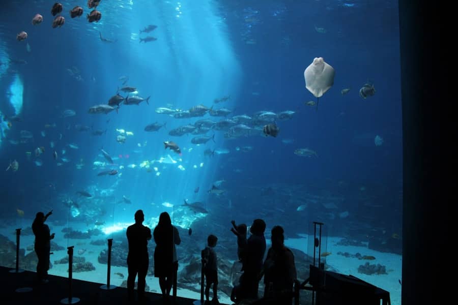 Neum Underwater Film Festival 2025: Međunarodni Festival Podvodnog Filma, Ekologije i Umjetnosti na Jadranu