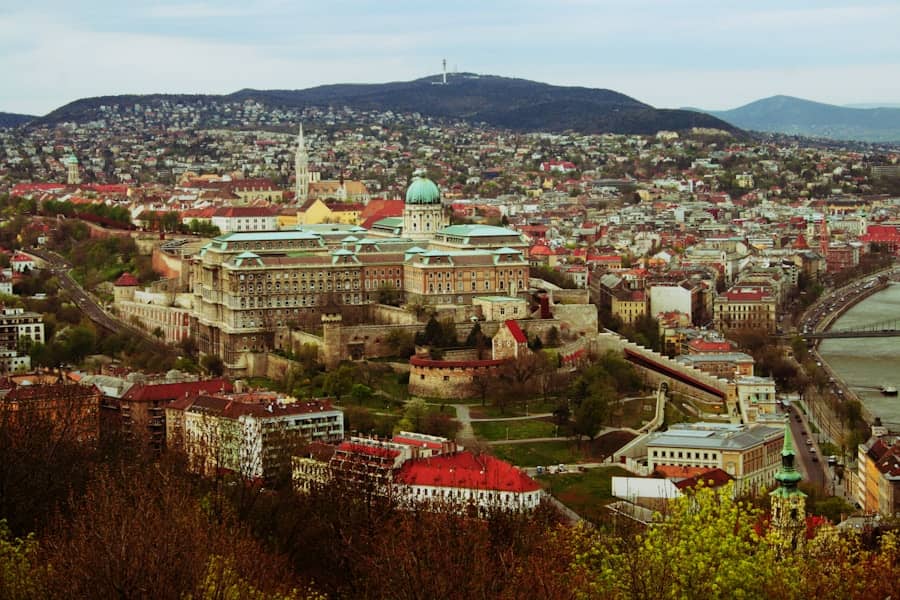 Sarajevo Film Festival u Ilidži otvara Ljetno piknik kino: premijera filma "Paviljon" i popusti za ulaznice